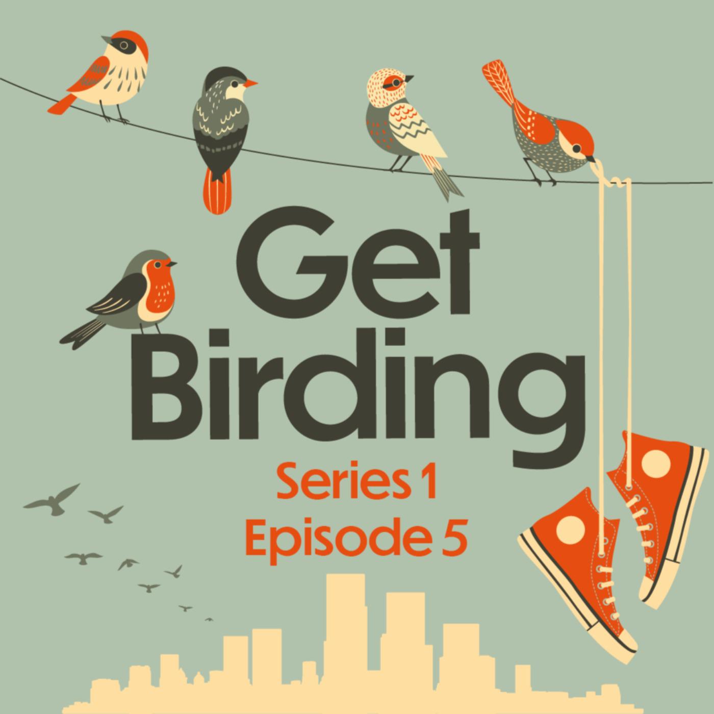 Get Birding podcast Ajay Tegala birds wildlife presenter ranger