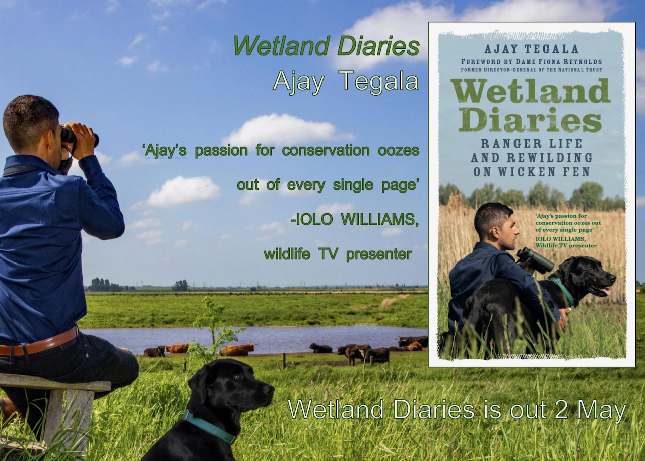 Ajay Tegala Wetland Diaries Wicken Fen