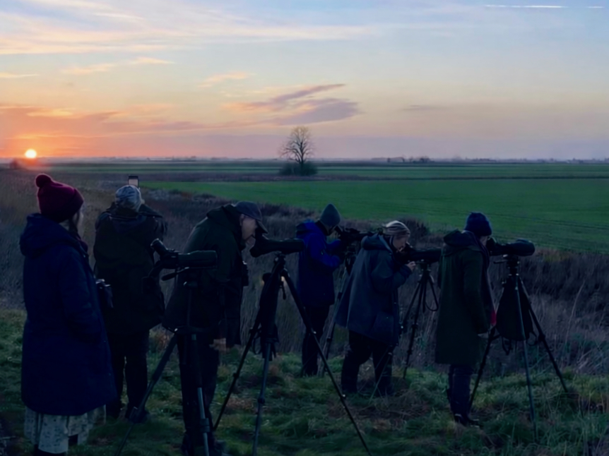 Ajay Tegala tour-guiding in Lincolnshire Birdwatchers looking through telescopes at sunset