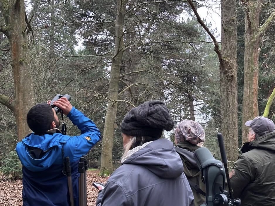 Ajay Tegala tour-guiding in Thetford Forest Birdwatchers looking into trees through binoculars